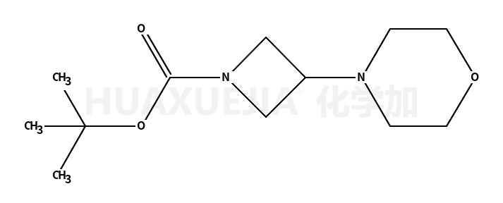 tert-butyl 3-morpholinoazetidine-1-carboxylate