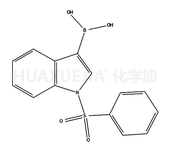 1-(苯磺酰基)-3-吲哚硼酸