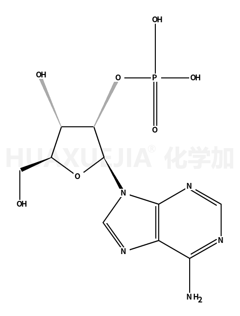 腺苷酸2(3)-磷酸