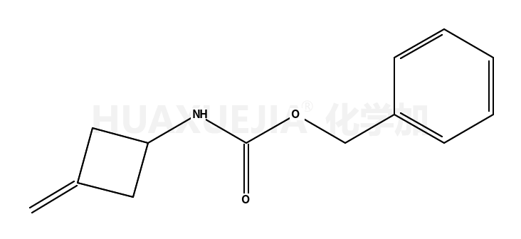 N-(苄氧基羰基)-3-亚甲基环丁胺