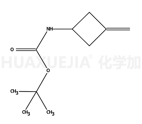 (3-亚甲基环丁基)氨基甲酸叔丁酯