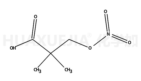 2,2-二甲基-3-(硝基氧基)丙酸
