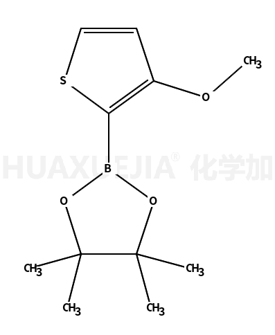 3-甲氧基噻吩-2-硼酸频那醇酯