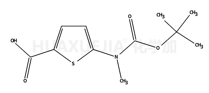 5-N-叔丁氧羰基-5-N-甲基氨基-2-噻吩甲酸