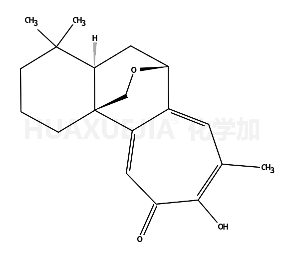 丹参环庚三烯酚酮