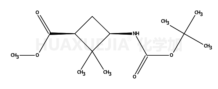 5-吡咯烷酮-3-甲酸甲酯