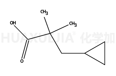 3-环丙基-2,2-二甲基丙酸
