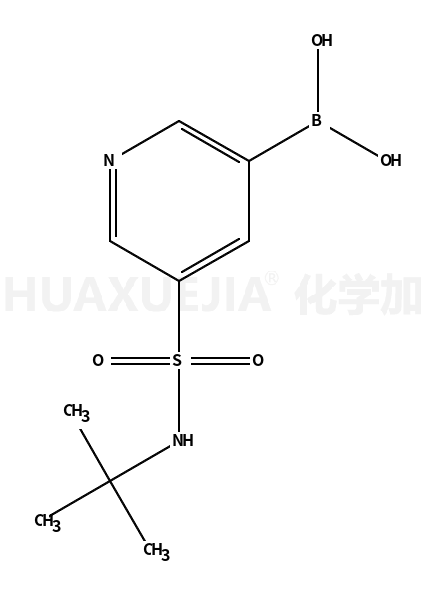 B-[5-[[(1,1-dimethylethyl)amino]sulfonyl]-3-pyridinyl]Boronic acid