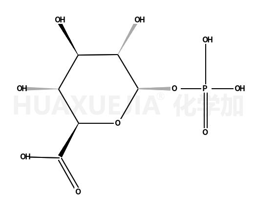 Alpha-D-葡糖醛酸-1-磷酸