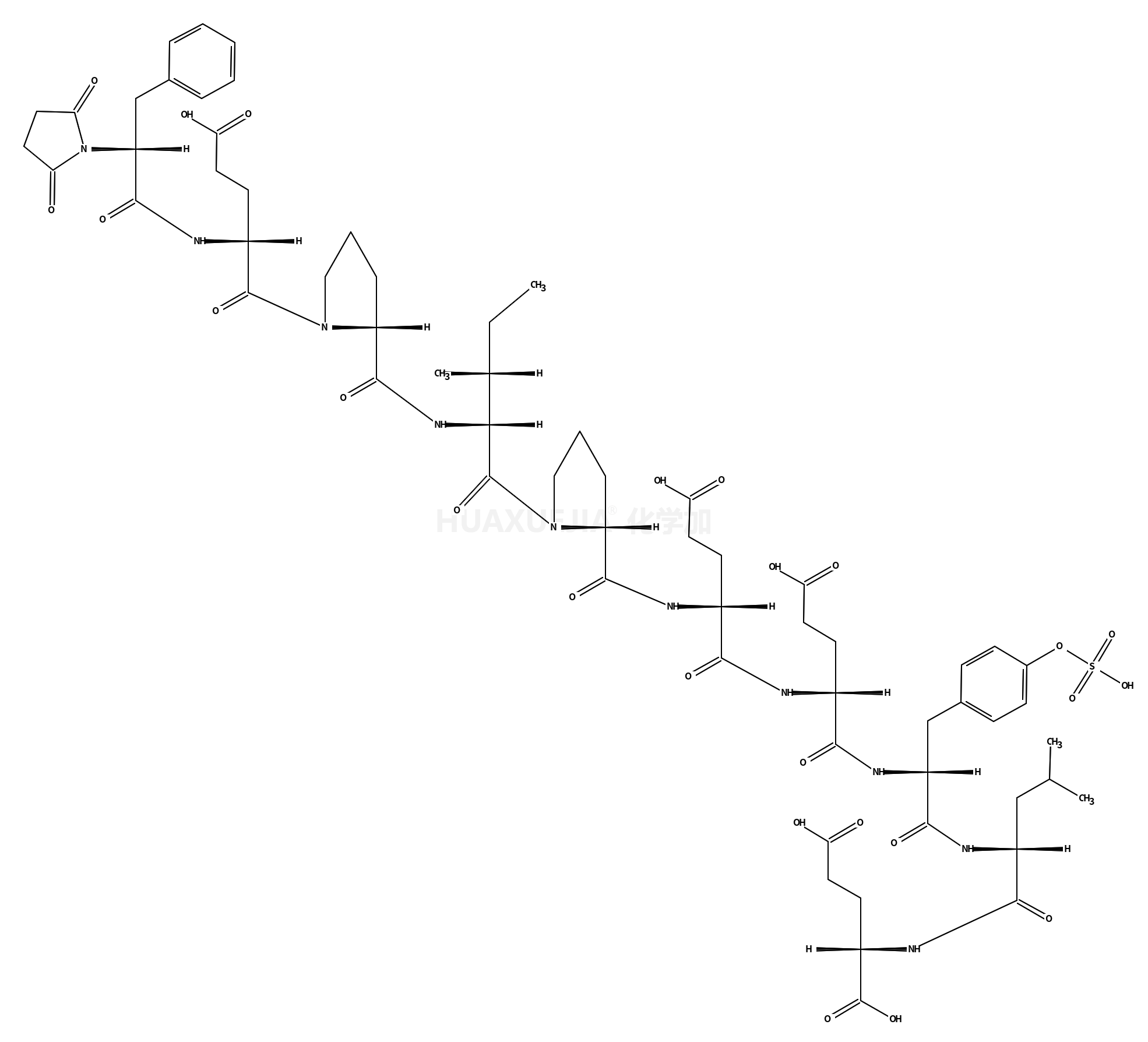 SUCCINYL-(PRO58,D-GLU65)-HIRUDIN (56-65) (SULFATED)