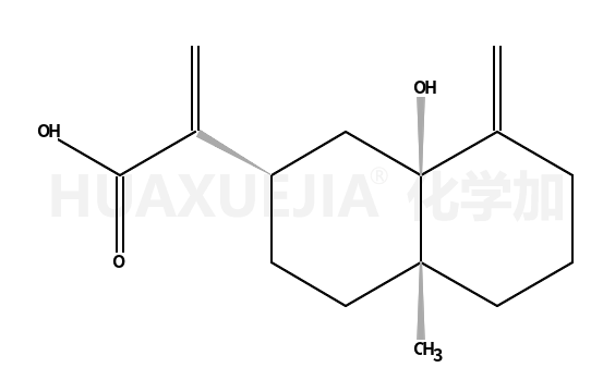 5β-Hydroxycostic acid