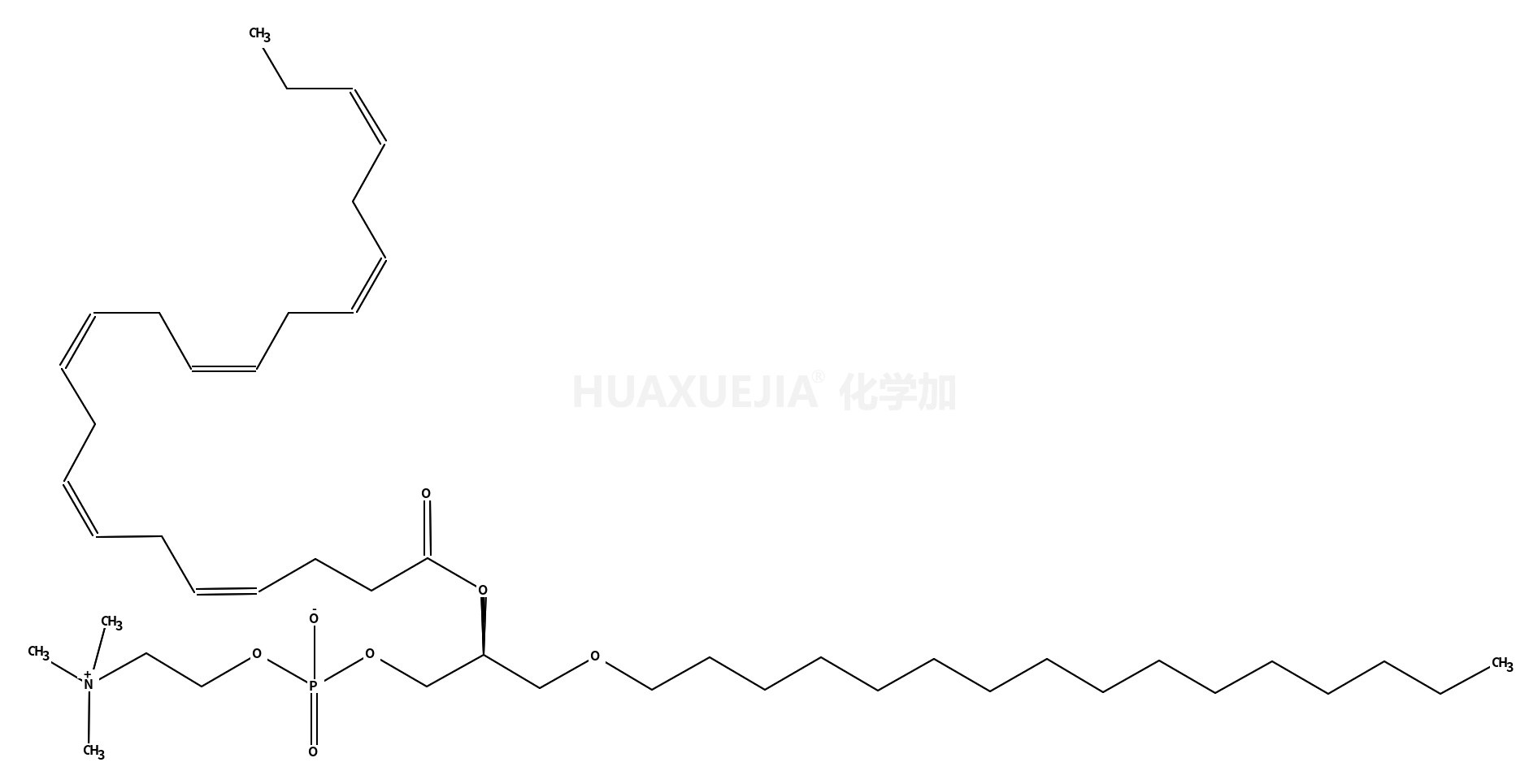 1-O-hexadecyl-2-docosahexaenoyl-sn-glycero-3-phosphocholine