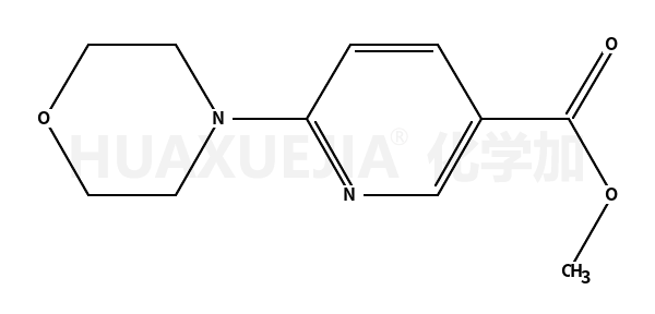 6-吗啉烟酸甲酯