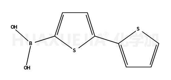 2,2’-联噻吩-5-硼酸