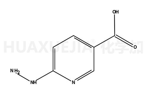 6-肼基烟酸