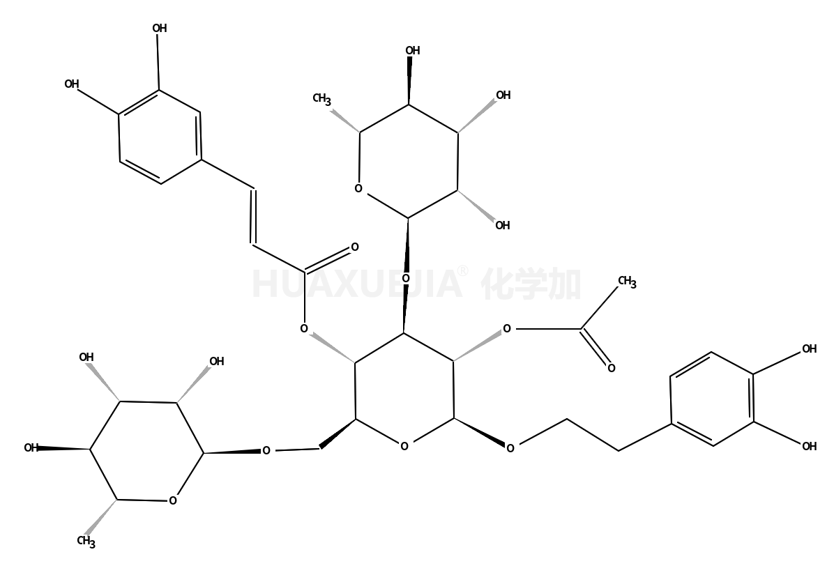2-乙酰基金石蚕苷