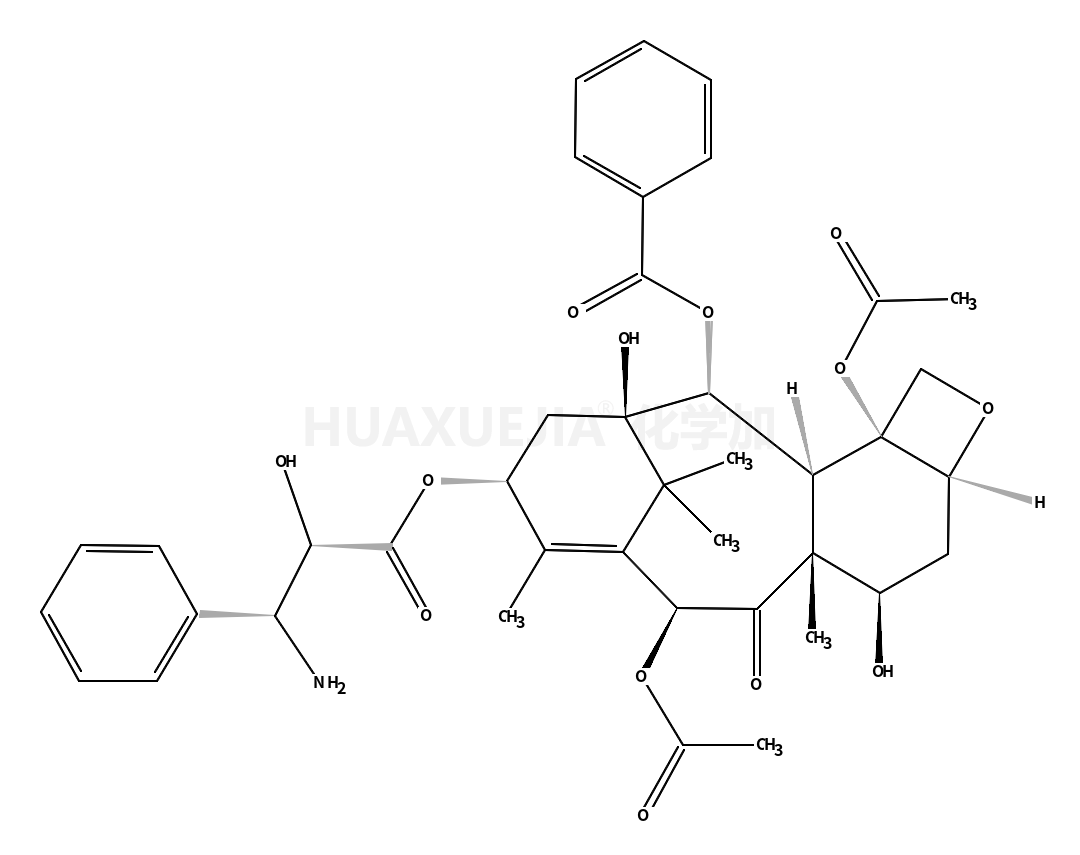 3'-N-debenzoyltaxol