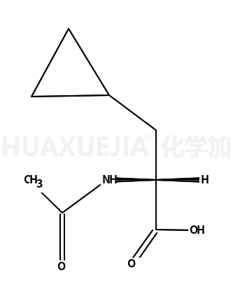 2-乙酰基氨基-3-环丙基丙酸