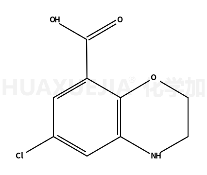 6-氯-3,4-二氢-2H-苯并[B][1,4]噁嗪-8-羧酸