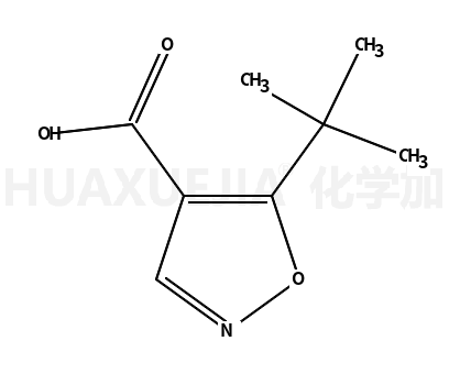 5-叔丁基-异恶唑-4-羧酸