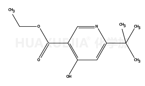 6-叔丁基-4-氧代-1,4-二氢吡啶-3-羧酸乙酯