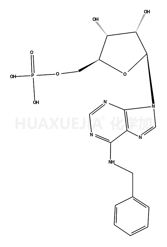 13484-66-7结构式