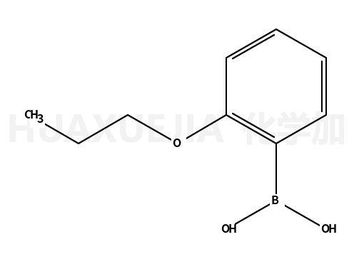 2-丙氧基苯基硼酸