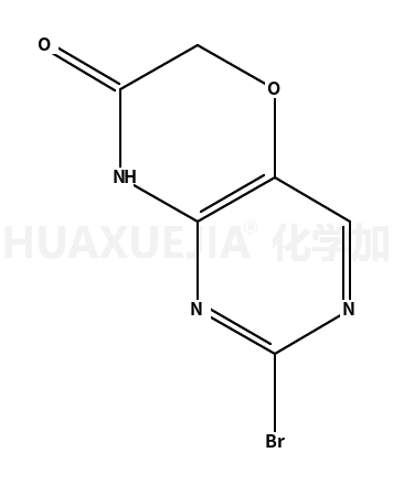 2-bromo-6H-pyrimido[5,4-b][1,4]oxazin-7(8H)-one