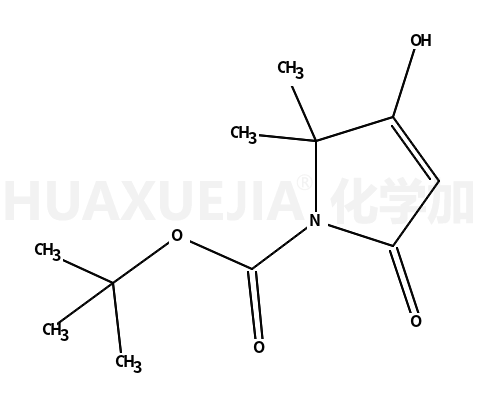 tert-butyl 3-hydroxy-2,2-dimethyl-5-oxopyrrole-1-carboxylate