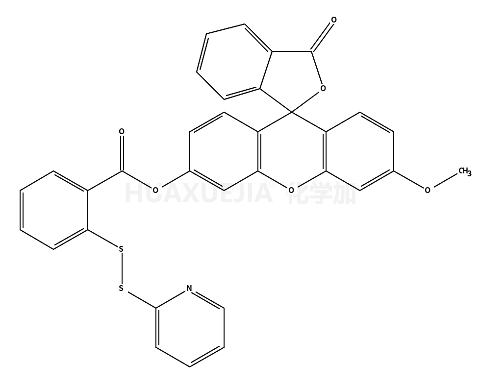 荧光探针WSP-1