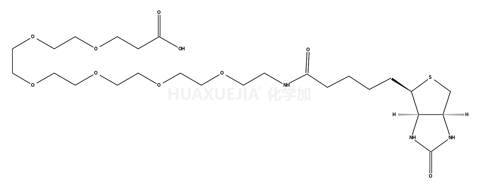 Biotin-PEG6-acid