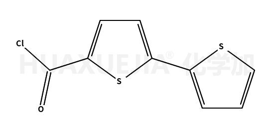 2,2’-联噻吩-5-羰酰氯