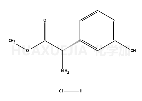 (R)-3-hydroxyphenylglycine methyl ester hydrochloride