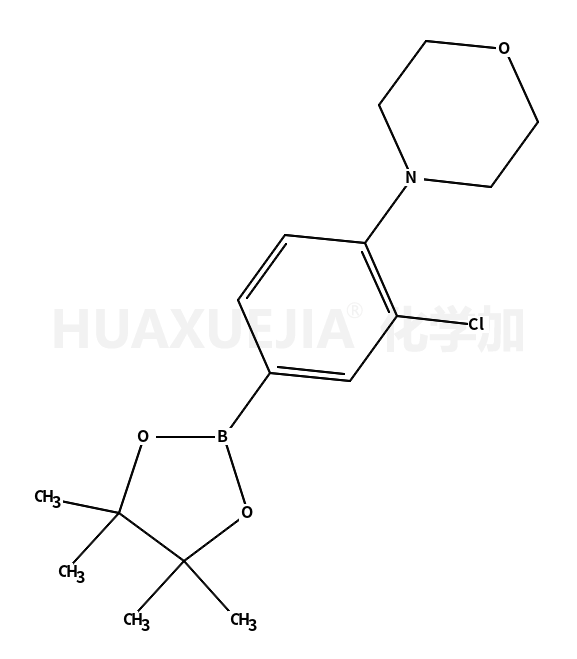 3-氯-4-(4-吗啉基)苯硼酸频哪醇酯