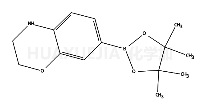 7-(4,4,5,5-四甲基-1,3,2-二噁硼烷-2-基)-3,4-二氢-2H-苯并[b][1,4]噁嗪