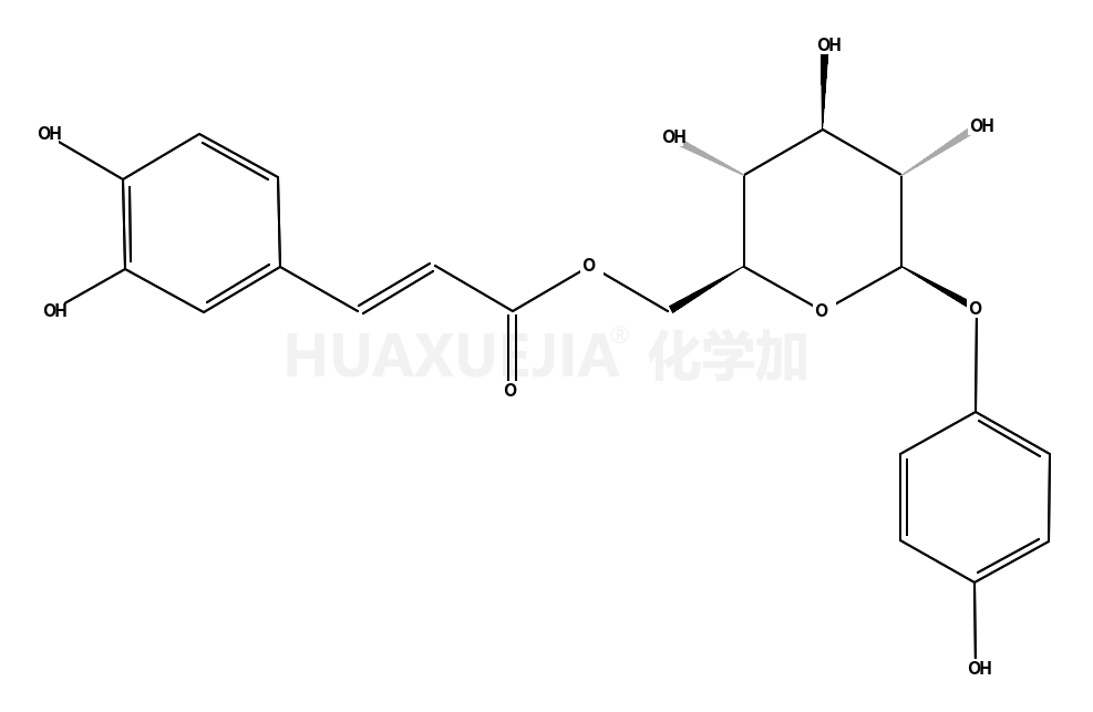 6-O-咖啡酰基熊果甙