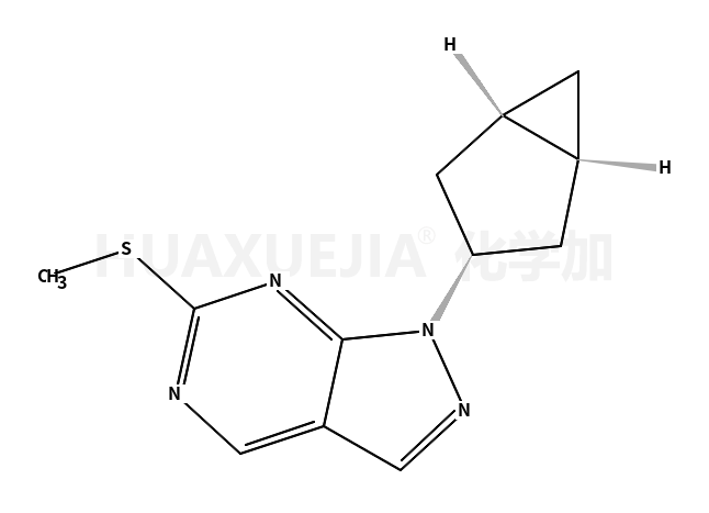 1-(雙環(huán)[3.1.0]己烷-3-基)-6-(甲基硫代)-1H-吡唑并[3,4-d]嘧啶