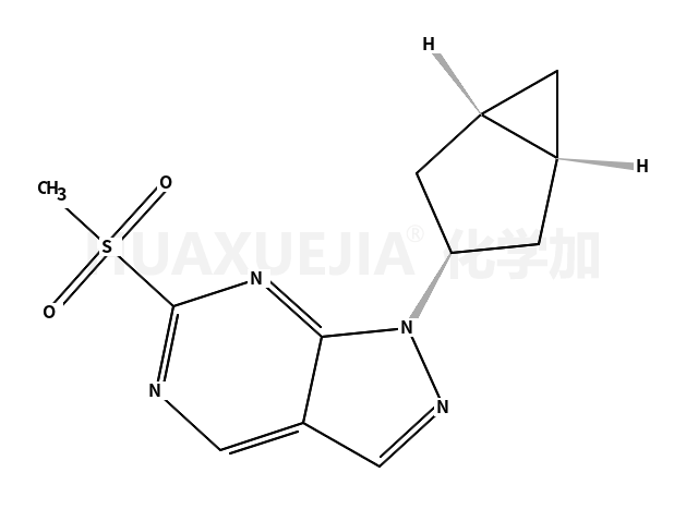1-(双环[3.1.0]己烷-3-基)-6-(甲基磺酰基)-1H-吡唑并[3,4-d]嘧啶