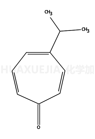 Nezukone