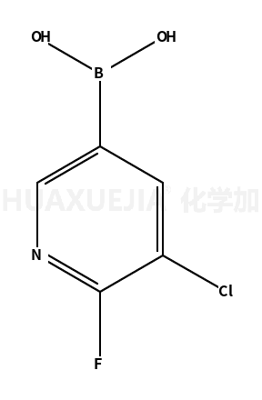 5-氯-6-氟吡啶-3-基硼酸