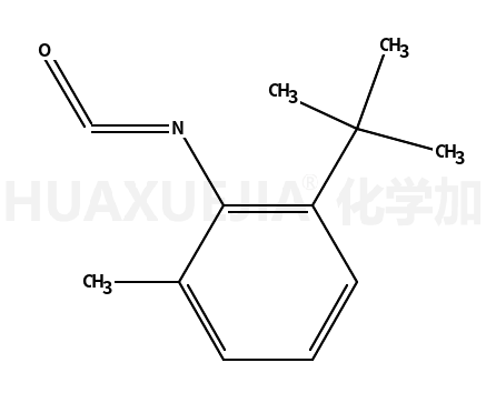 2-叔-丁基-6-甲基苯基异氰酸酯