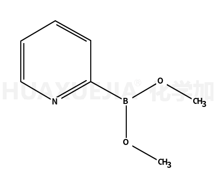 砒啶-2-硼酸二甲酯