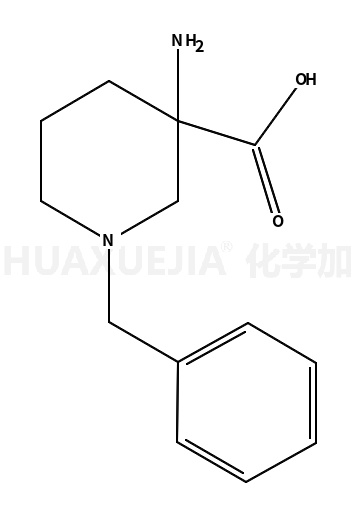 3-氨基-1-苄基-3-哌啶羧酸