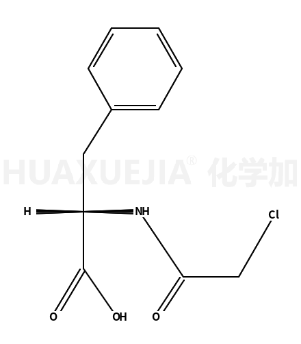 N-氯乙酰-D-苯丙氨酸