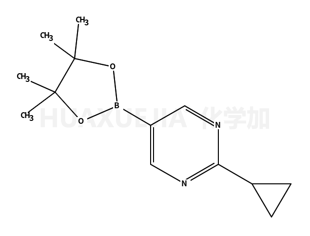 2-环丙基-5-(4,4,5,5-四甲基-1,3,2-二噁硼烷-2-基)嘧啶