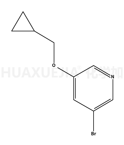 3-溴-5-(环丙基甲氧基)吡啶
