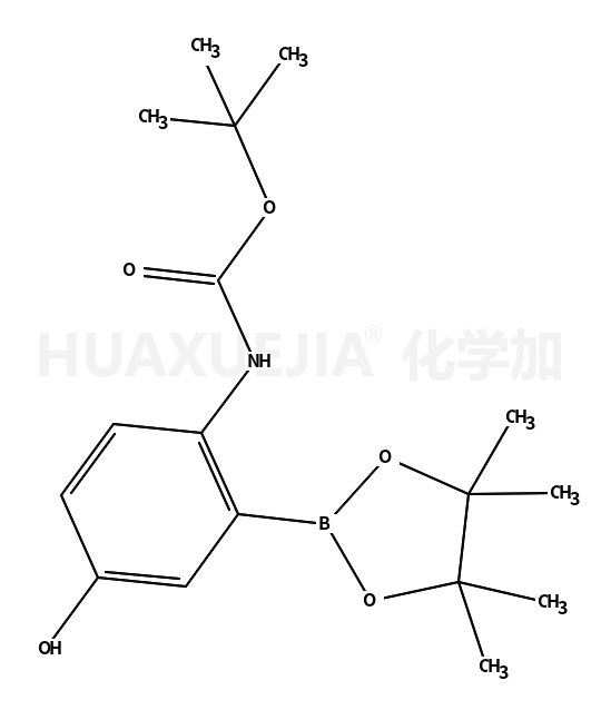 1384312-65-5结构式