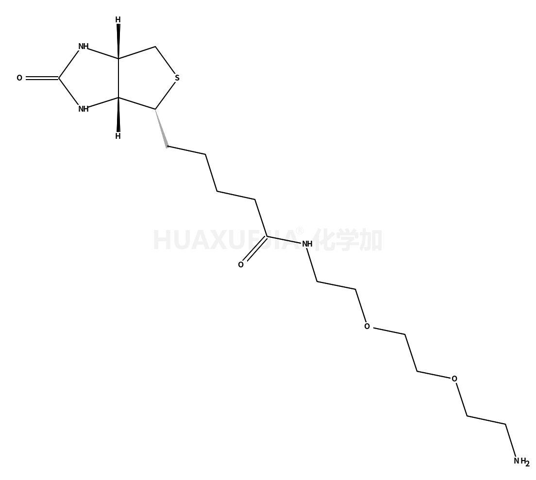 生物素-PEG2-胺