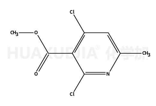 2,4-二氯-6-甲基烟酸甲酯