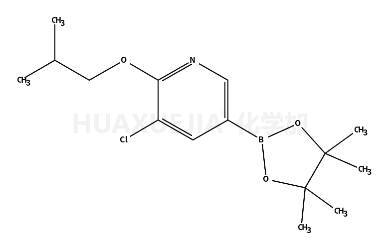 3-氯-2-异丁氧基-5-(4,4,5,5-四甲基-1,3,2-二噁硼烷-2-基)吡啶